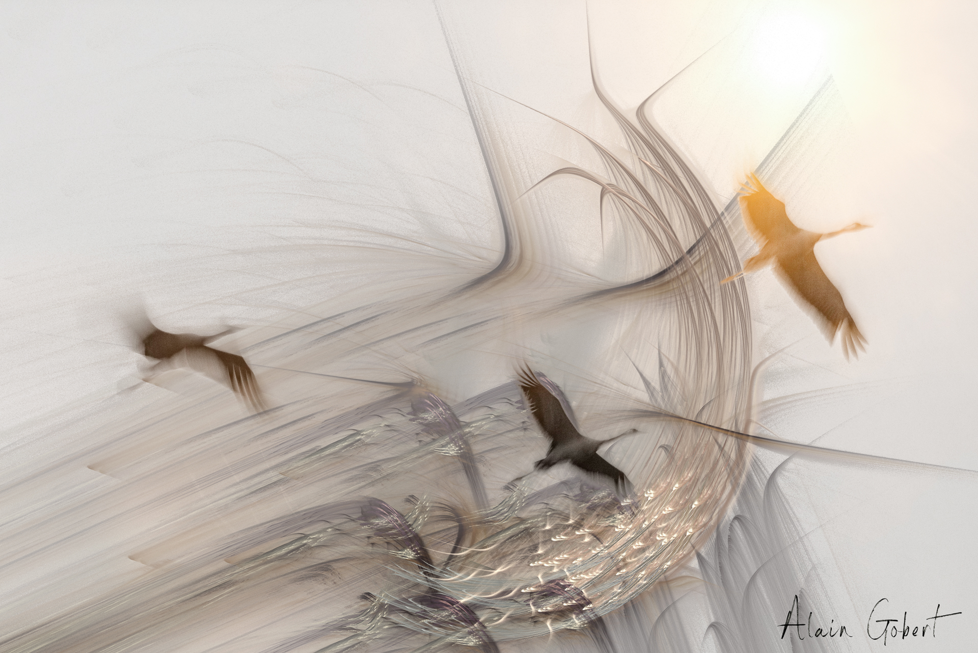 L'envol des grues
