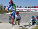 alain gobert  ani7752