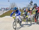 alain gobert  ani7862