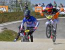 alain gobert  ani8357