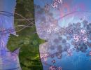 fleurs fauves alain gobert