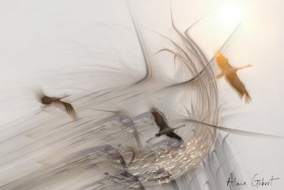 L'envol des grues