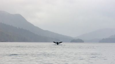 Gwaii Haanas