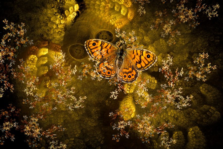 alain gobert la megere fractalisee  act1592